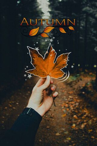 Whispers of Autumn 🍂✨