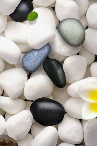 Serenity in Stones: A Crystal Clear Moment