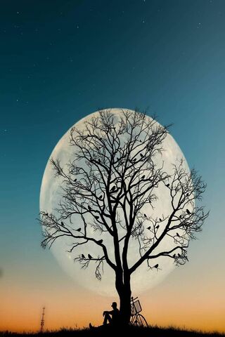 Moonlit Solitude: A Moment Under the Tree 🌙🌳