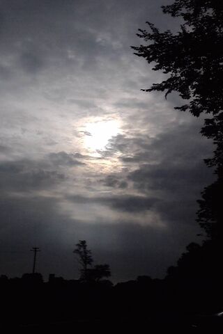 Dawn's Whisper: A New Day Awakens