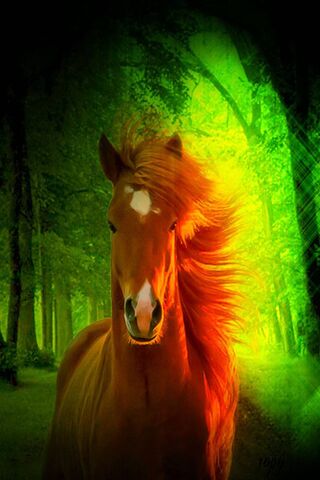 3D Nature and Horse