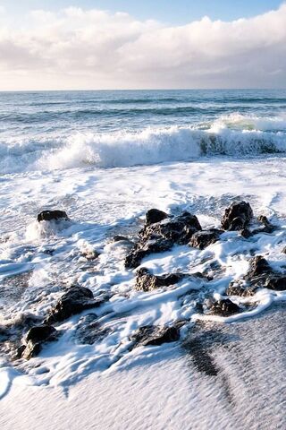 Whispers of the Ocean 🌊