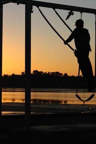Evening Bliss on the Swing 🌅