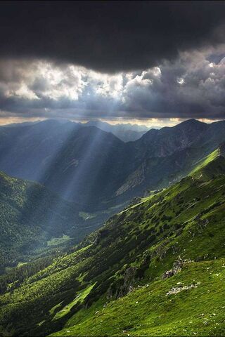 Whispers of Light in the Valley