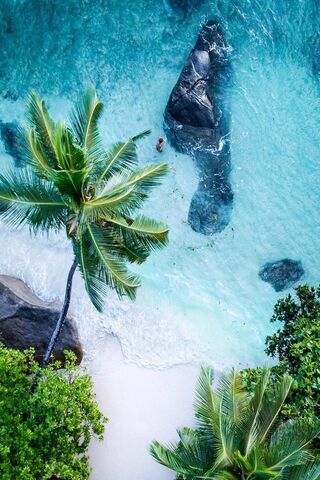 Tropical Serenity 🌴🌊