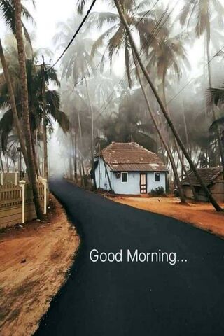 Good Morning Village