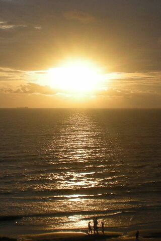 Golden Horizon: Embracing the Day's End 🌅