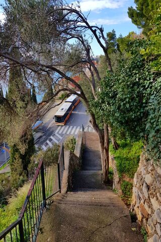 Stairway to the Adriatic: A Glimpse of Dubrovnik