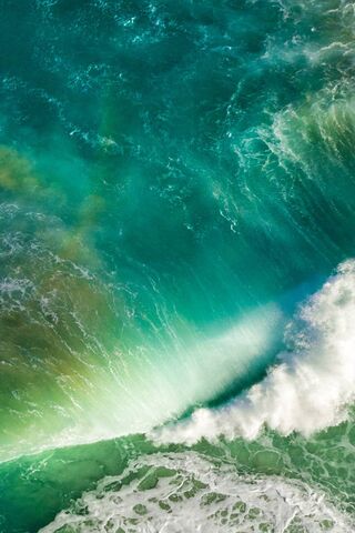 Ocean's Embrace 🌊✨
