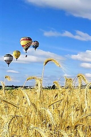 Soaring Dreams: A Balloon Adventure 🎈🌾
