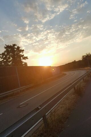 Golden Horizon: A Sunset Journey 🌅