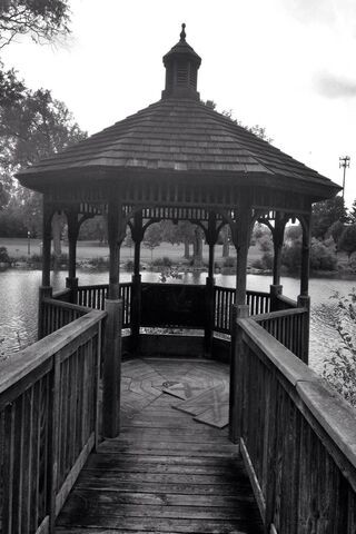 Serenity in the Gazebo 🌳✨