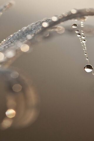 Nature's Crystal Orname..