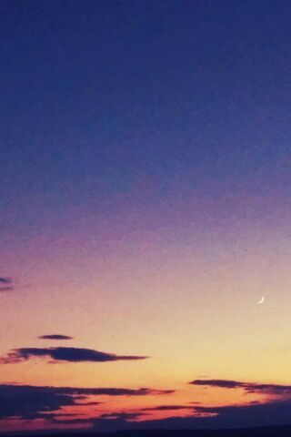 Twilight Dreams: A Purple Horizon 🌅✨