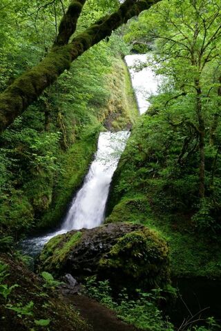 Nature's Veil: The Enchanting Bridal Veil Falls 🌿💧