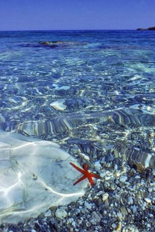 Serenity Beneath the Waves 🌊✨