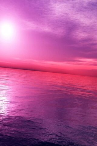 Pink Sunset