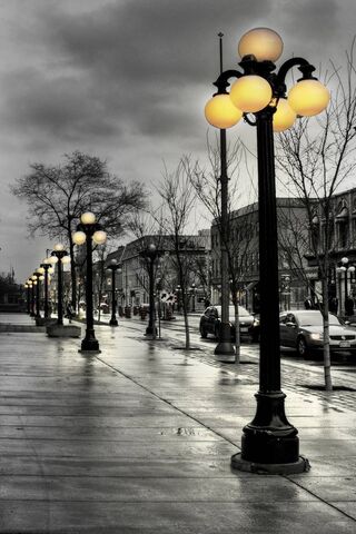 Glistening Glow: A Nighttime Stroll