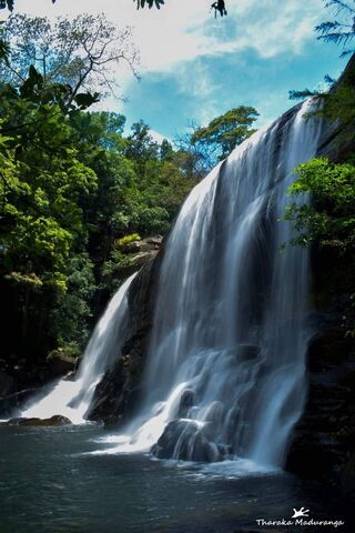 Sera Ella: Nature's Majestic Cascade 🌊🌿