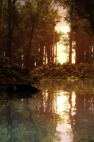 Sonnenuntergang Auf Einem Teich