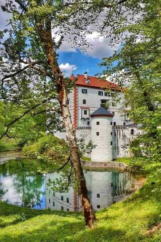 Enchanting Reflections of Grad Snežnik 🏰🌳