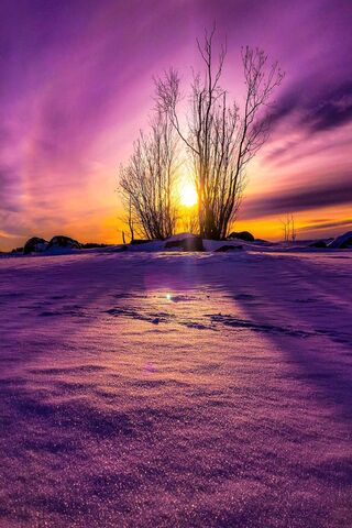 Beauty Of Nature