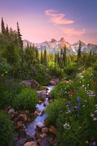 Serenity in Washington Gardens 🌸🏞️