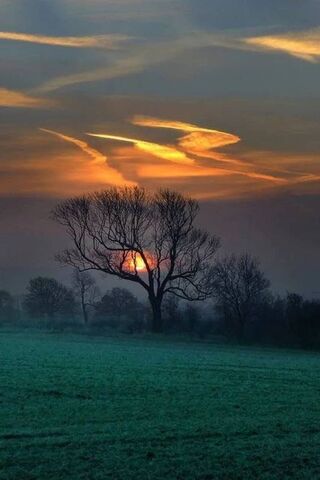 Sunset Symphony: Nature's Palette 🎨🌅