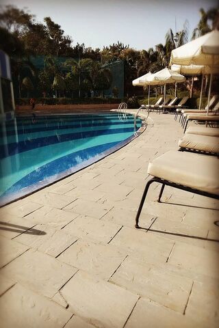 Refreshing Oasis: Dive into Relaxation! 🏊 ☀️