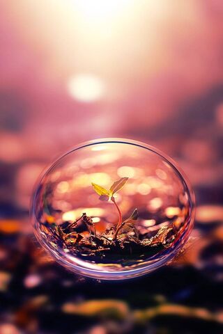 Nature's Resilience: A Seedling's Journey 🌱✨