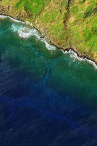 Nexus 6P: A Glimpse of Nature's Palette 🌊🌿