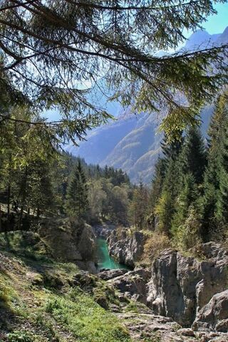 Nature's Embrace: A Serene Panorama 🌲💧