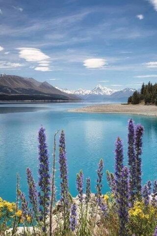 Serenity by the Lake 🌊🌸
