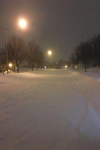 Winter Wonderland: A Snowy Street Adventure ❄️🌙