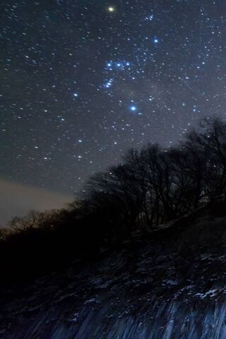 Celestial Wonders: A Ni..