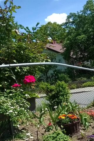 A Blooming Haven: Grandma's Garden Delight 🌼🌿