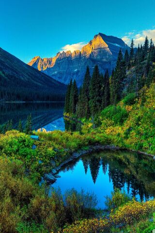 Majestic Reflections: T..