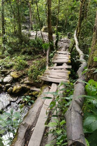 Cocora-Col: Nature's Tranquil Pathway 🌿🌲