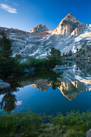 Reflections of Majesty:..