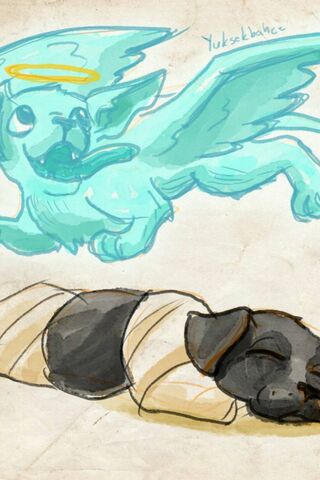 Eternal Companionship: A Tribute to Beloved Pets 🐾✨