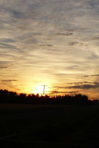Solitude in Sunset 🌅