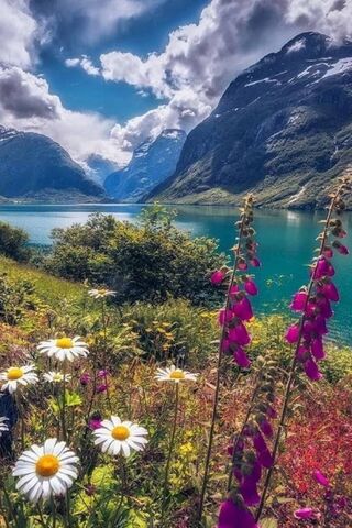 Summer Day