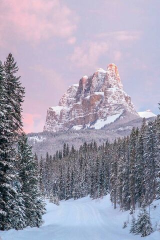 Snowy Banff Park