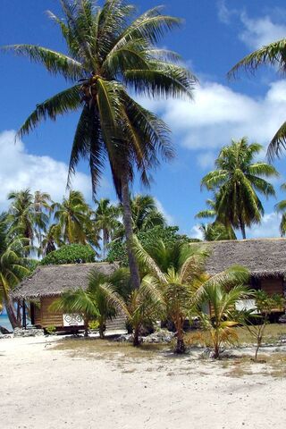 Paradise Found: Plaja Bliss 🌴🌊