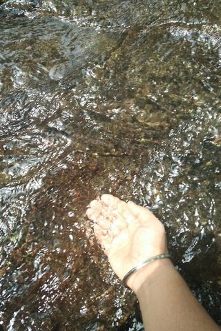 Embracing Nature's Serenity 🌊✨