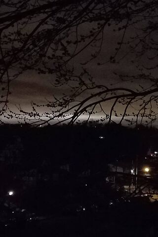 Whispers of the Night 🌌