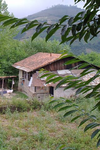 Ebchin Neka: A Hidden Gem in Nature 🌿🏡