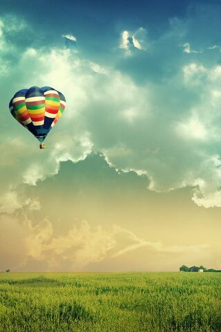 Soaring Dreams: A Ballo..