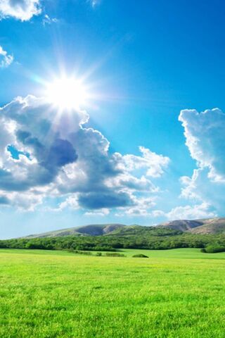 Nature's Canvas: A Brig..
