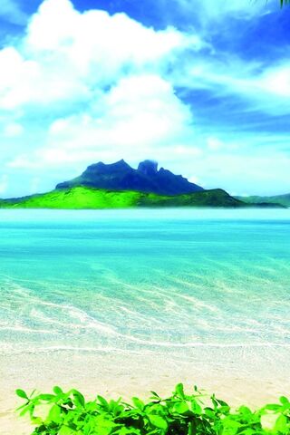 Tropical Bliss: A Slice of Heaven 🌴🌊